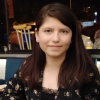 Ebru Ölmez