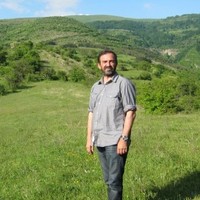 Petar Damnjanovic