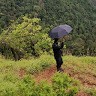 avinash mk