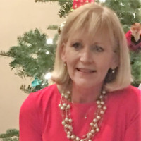 Cindi Waugh