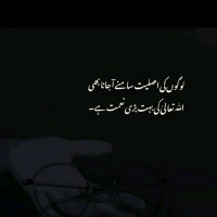Shaheen saleem