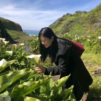 Blanca Qiu