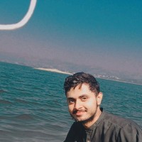 M. Ameer Hamza