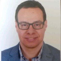 Wael Naguib