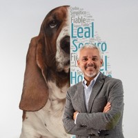Alvaro Buenaventura Bas Gálvez