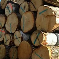 EKENEX JSC Sales department