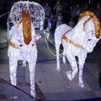 王立妹