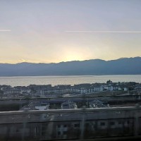 罗先生