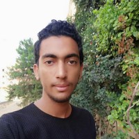 Malek Mohamed
