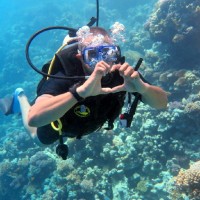 هلال العسال