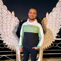 Amgad Eltabee