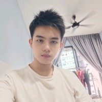 Leson Ho Heng Wei
