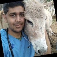 Sumanth Bedre