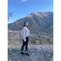 Rabia Peli̇t