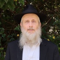 ארז קרלנשטיין