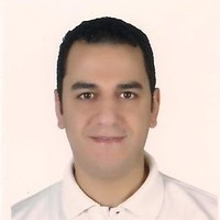 Amer Mohie