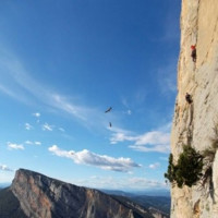 Javier Raventos Irigoyen