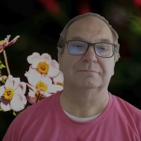 Fred Schiphorst