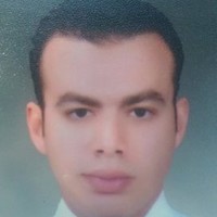 Ahmed Abdel Hakim