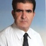 sedat demiray