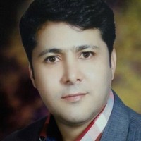 Seyed Hesam Hejazi