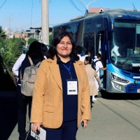 Norka Mamani Paredes