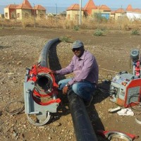 waleed hassan