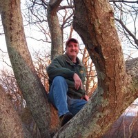 Steve Findley