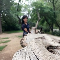 陈丽丽