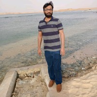 Zubair Akbar, (Acca, Bsc.Hons)