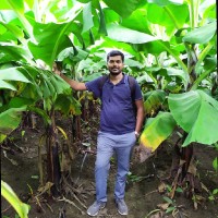 PAVAN AMBHORE