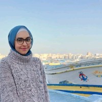 Mariam Abdelaziz