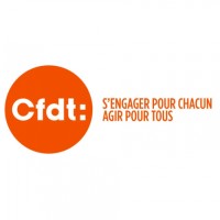 Cfdt Vesa