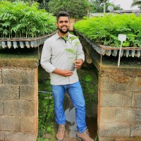 Ivanei Ferreira De Araújo