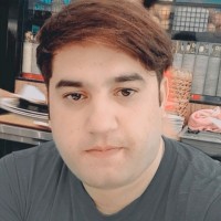 Hamza Arbab