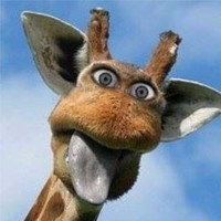Ron Doddema