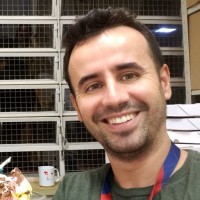 Diógenes Pereira