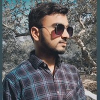 Nirbhay Singh Chauhan