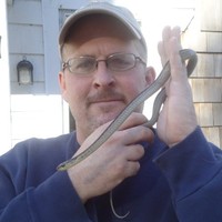 Stephen Ricker