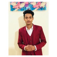Ameer Hamza