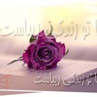 عالیه رضایی