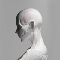 Tran Hung