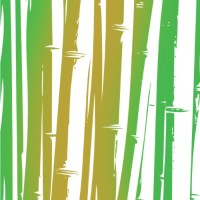 Caemba by Fundación Raíz