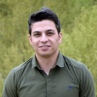 Amin Ahouei
