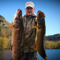 Randy Robertson