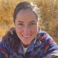 Angela Arbour