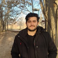 Hamidreza Mohammadpour