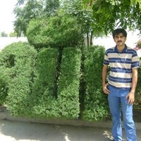 Naveed Sahiwal
