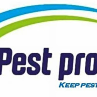 PEST PROTECT
