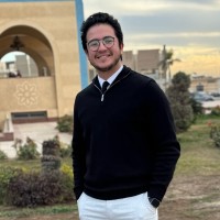 Amr Abdelhamid